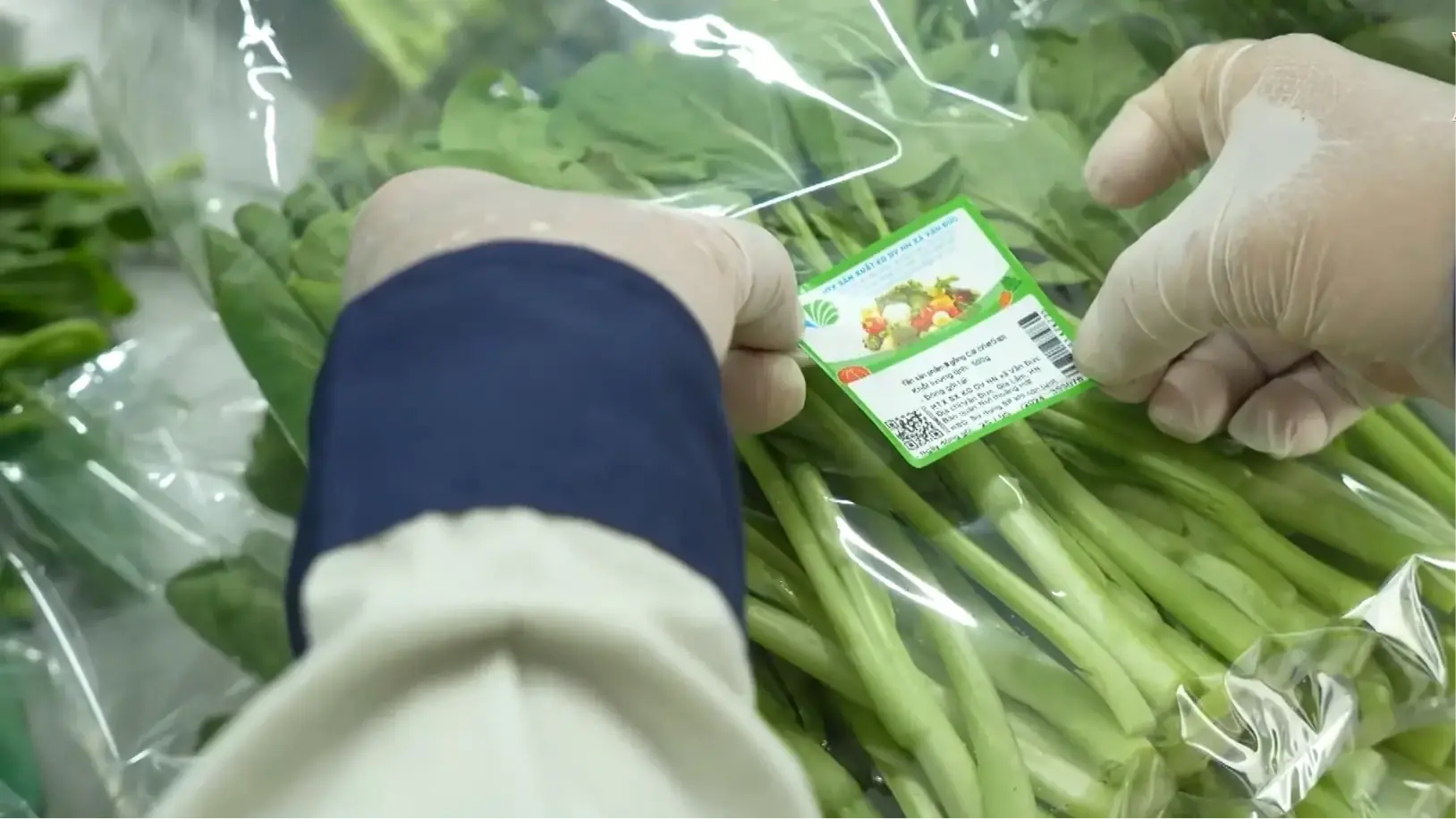 HTX số - Nông nghiệp thời kỳ mới | 22/07/2025